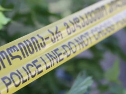 ლენტი ლენტი