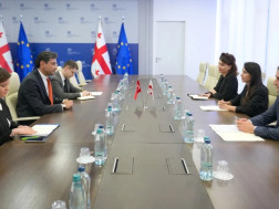 მარიამ ქვრივიშვილი თურქეთის ელჩს შეხვდა