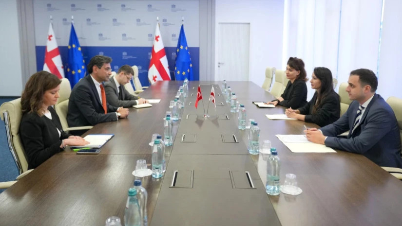 მარიამ ქვრივიშვილი თურქეთის ელჩს შეხვდა