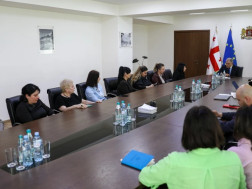 მიხეილ სარჯველაძ