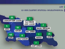 გარემოსდაცვითი ზედამხედველობის დეპარტამენტ