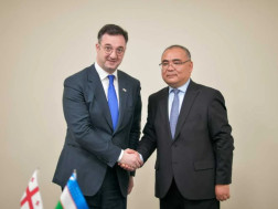 დავით სონღულაშვილი