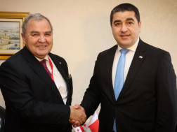 შალვა პაპუაშვილი მალტის პარლამენტის თავმჯდომარეს შეხვდა  
