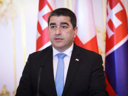 შალვა პაპუაშვილი