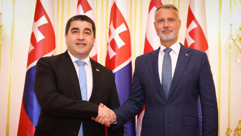 შალვა პაპუაშვილი შალვა პაპუაშვილი