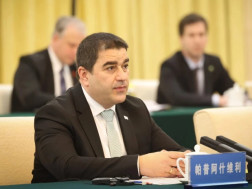 შალვა პაპუაშვილი