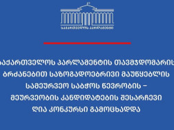 საქართველოს პარლამენტი