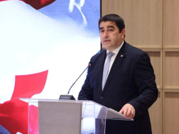 შალვა პაპუაშვილი შალვა პაპუაშვილი