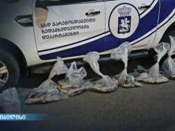 ბრაკონიერობის ფაქტი