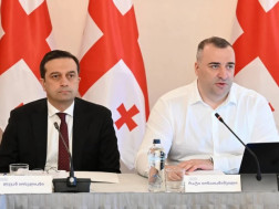 ადამიანის უფლებათა დაცვისა და სამოქალაქო 