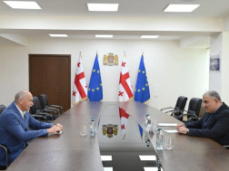 მიხეილ სარჯველაძე