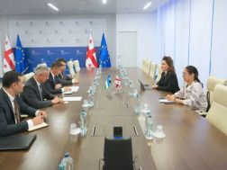 თამარ იოსელიანი