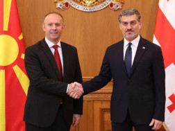 მიხეილ ყაველაშვილი 