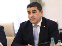  შალვა პაპუაშვილი