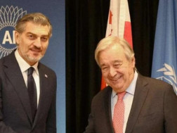 მიხეილ ყაველაშვილი