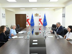 მიხეილ სარჯველაძე 
