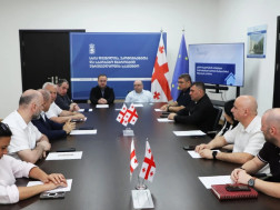დევნილთა სააგენტო ი