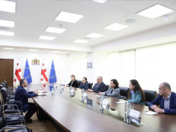 მიხეილ სარჯველაძე
