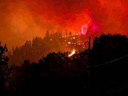 ტყის ხანძრებ