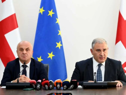მიხეილ სარჯველაძე