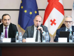 გივი მიქანაძე 