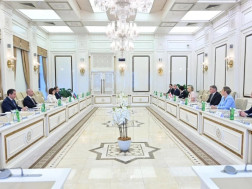  პარლამენტის დელეგაცია