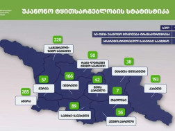 გარემოსდაცვითი ზედამხედველობი გარემოსდაცვითი ზედამხედველობი