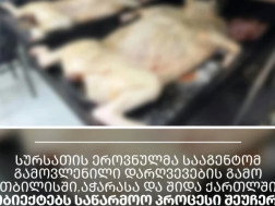 სურსათის ეროვნულმა სააგენტო